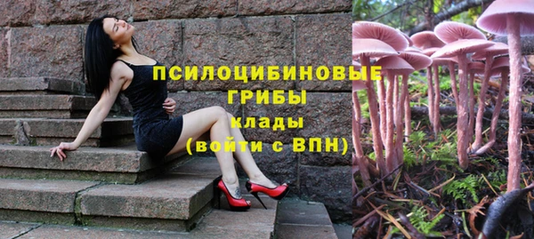 2c-b Алексин